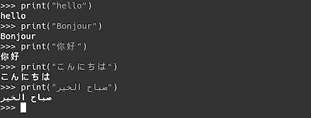 screenshot6