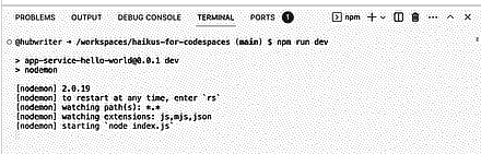 Screenshot of the Terminal in VS Code with the "npm run dev" command entered.